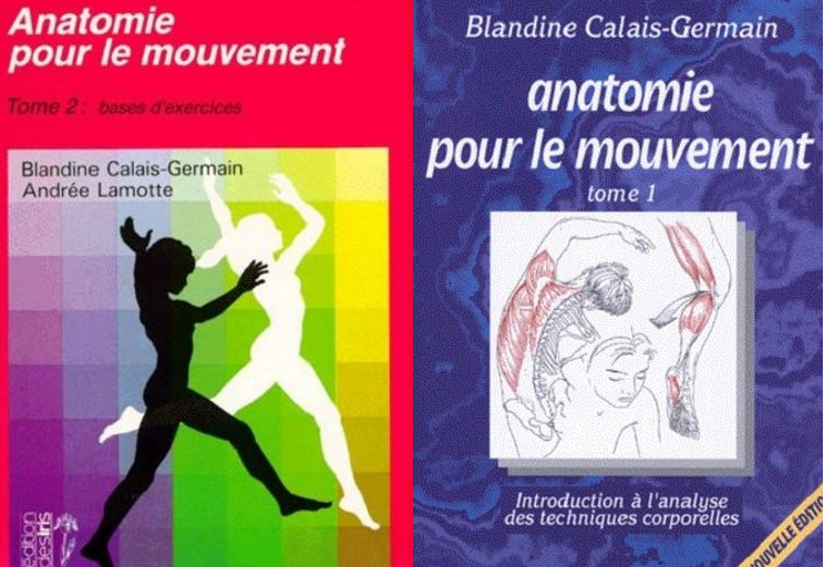 Anatomie pour le mouvement T1 et T2