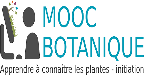 MOOC Botanique Apprendre à connaître les plantes Initiation WEB-DL 1080p